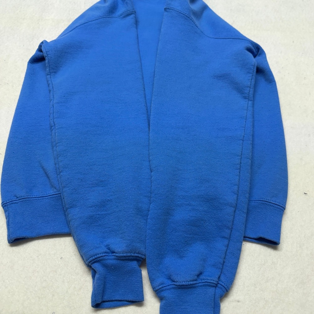Detroit Lions Hoodie Sweatshirt NFL Team Apparel Graphic Blue Cotton Blend Small - Picture 12 of 13
